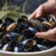 effective trick for prepping mussels