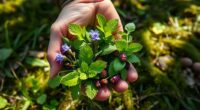 emergency food sources guide