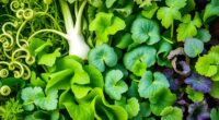 best spring greens in north