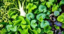 best spring greens in north