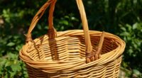 build your own foraging basket