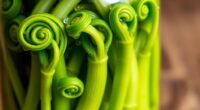 fermented fiddleheads spring probiotic