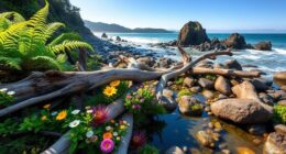 pacific northwest coastal foraging