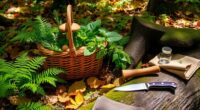 safe foraging beginner s guide