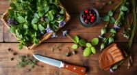 spring foraging supplies list