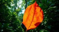 use plant dyes for signaling