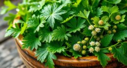 wild greens pesto recipe