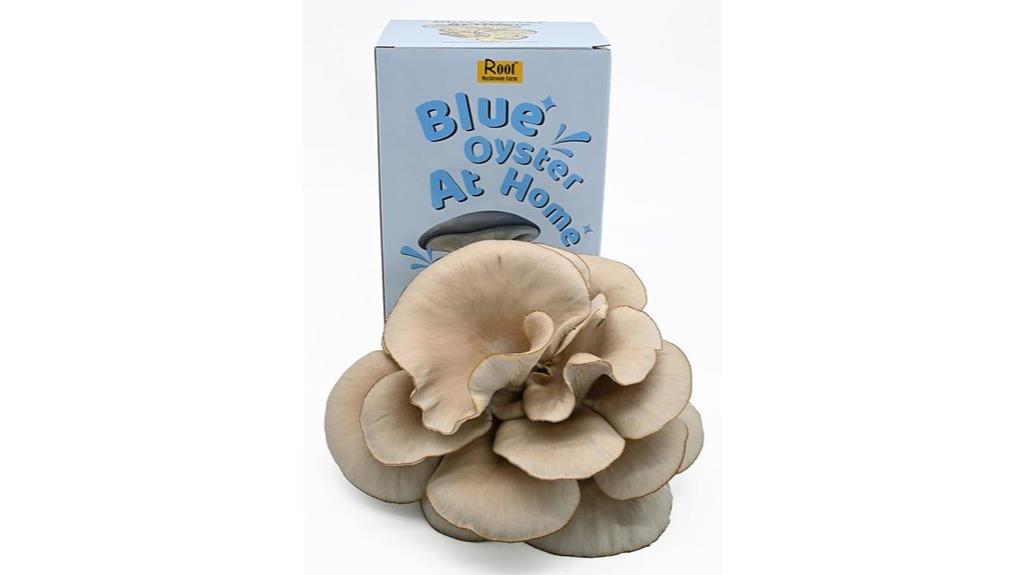 blue oyster mushroom grow kit