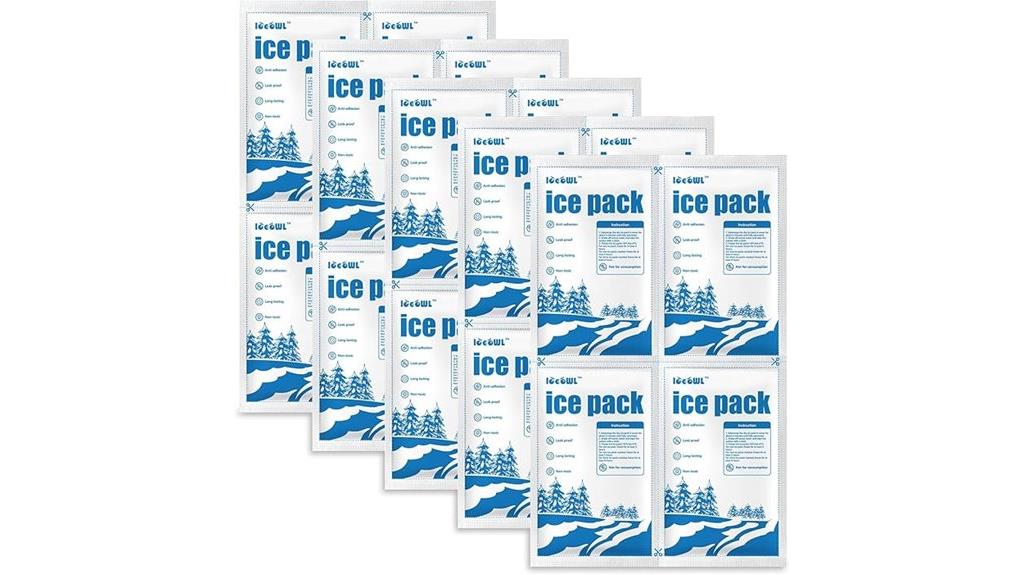 cold shipping ice packs