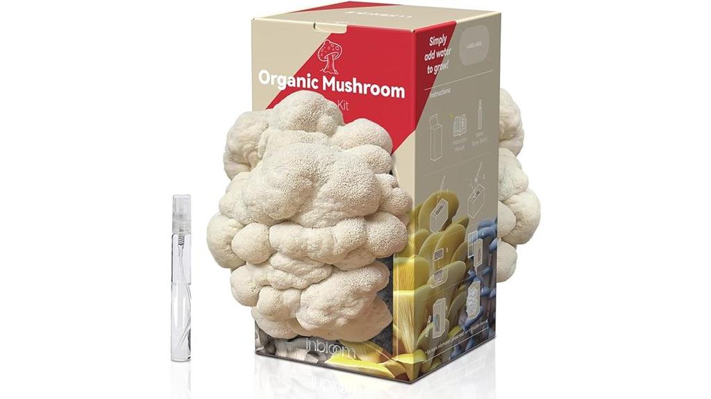 double sided lion s mane kit