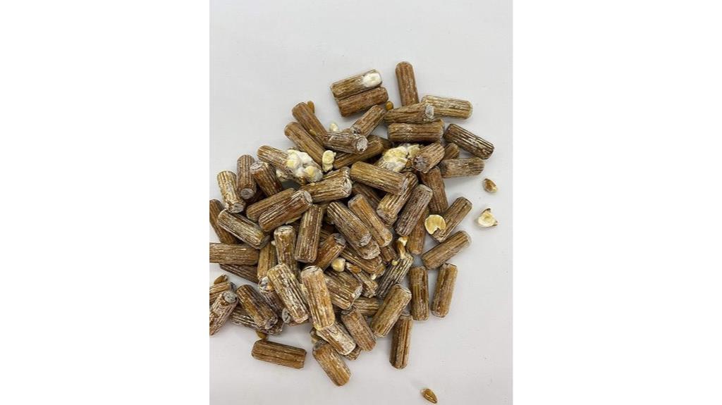fifty shiitake mushroom plugs