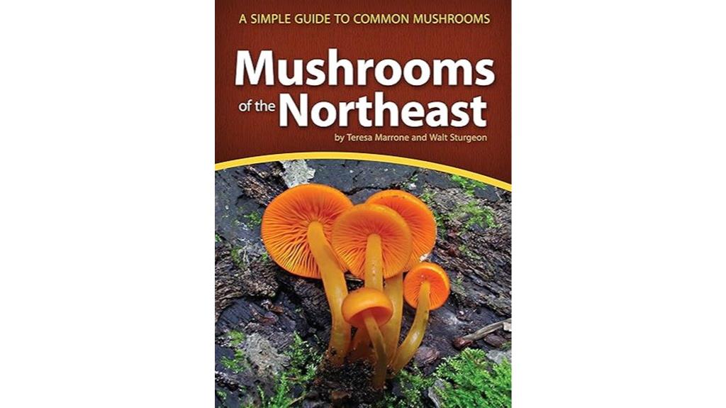 guide to northeast mushrooms