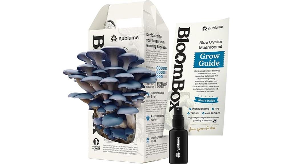 indoor blue oyster cultivation