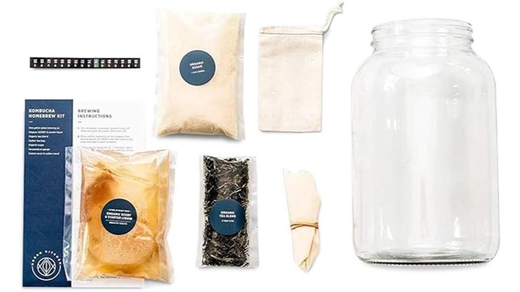 kombucha brewing starter kit