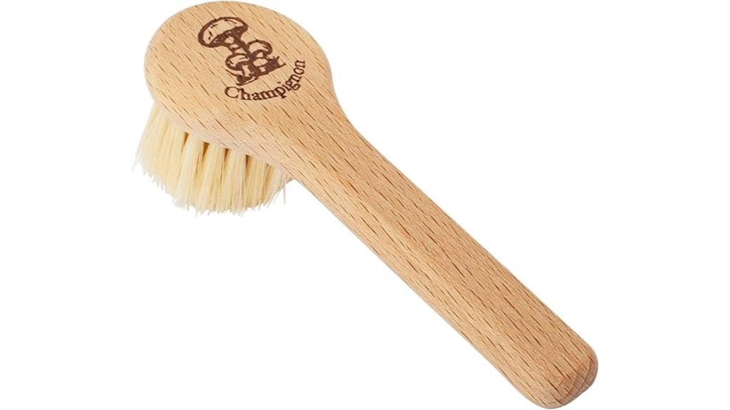 mushroom brush with beechwood