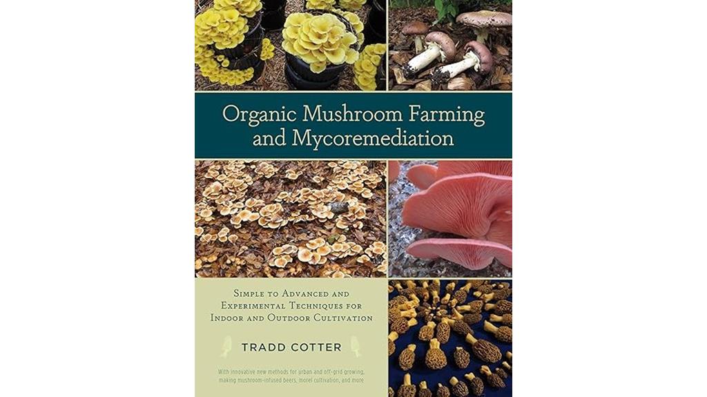 mushroom cultivation and cleanup