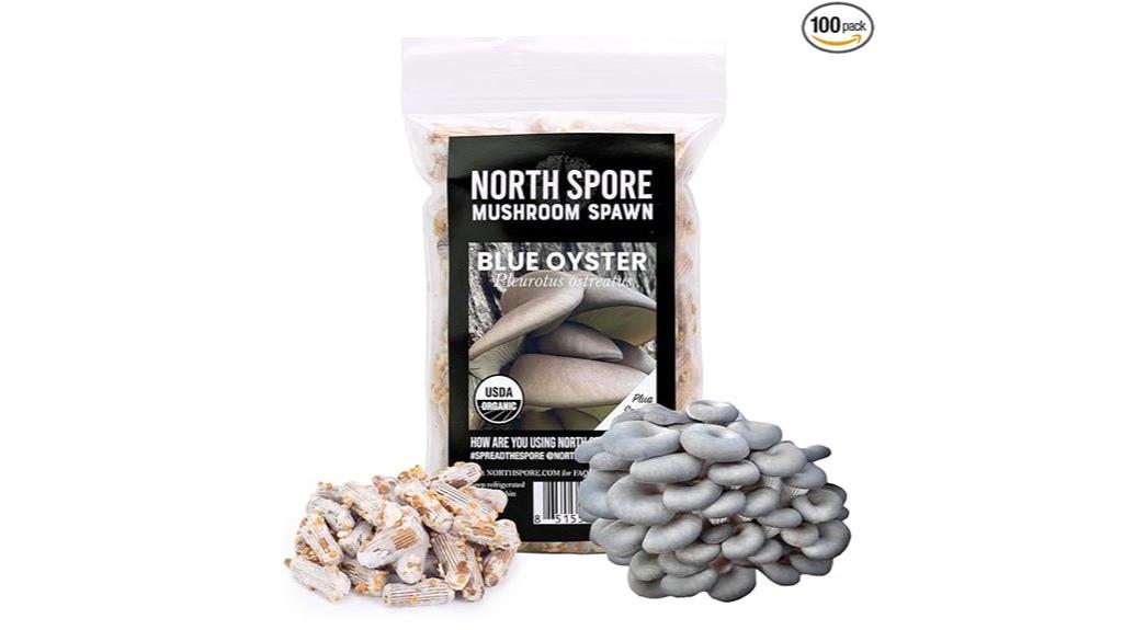 organic blue oyster mushroom plugs