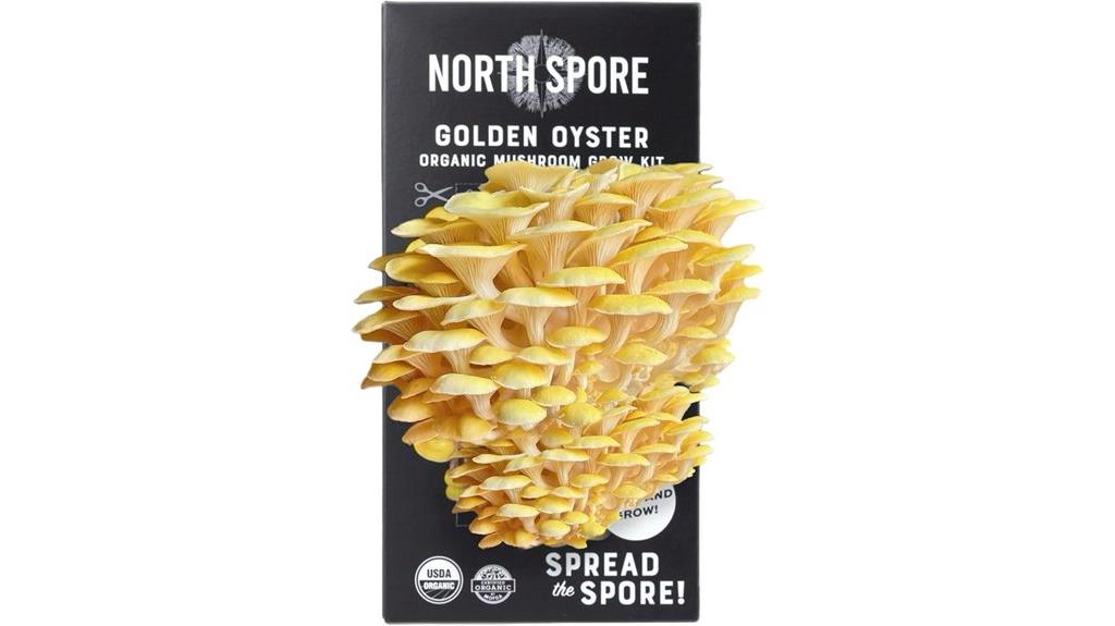 organic golden oyster kit