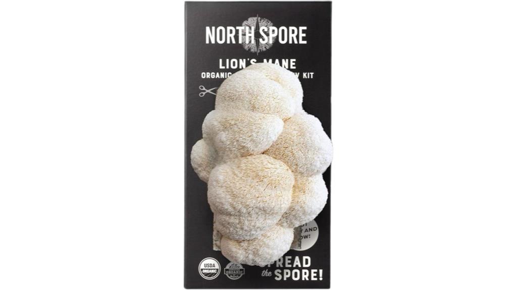 organic lion s mane kit
