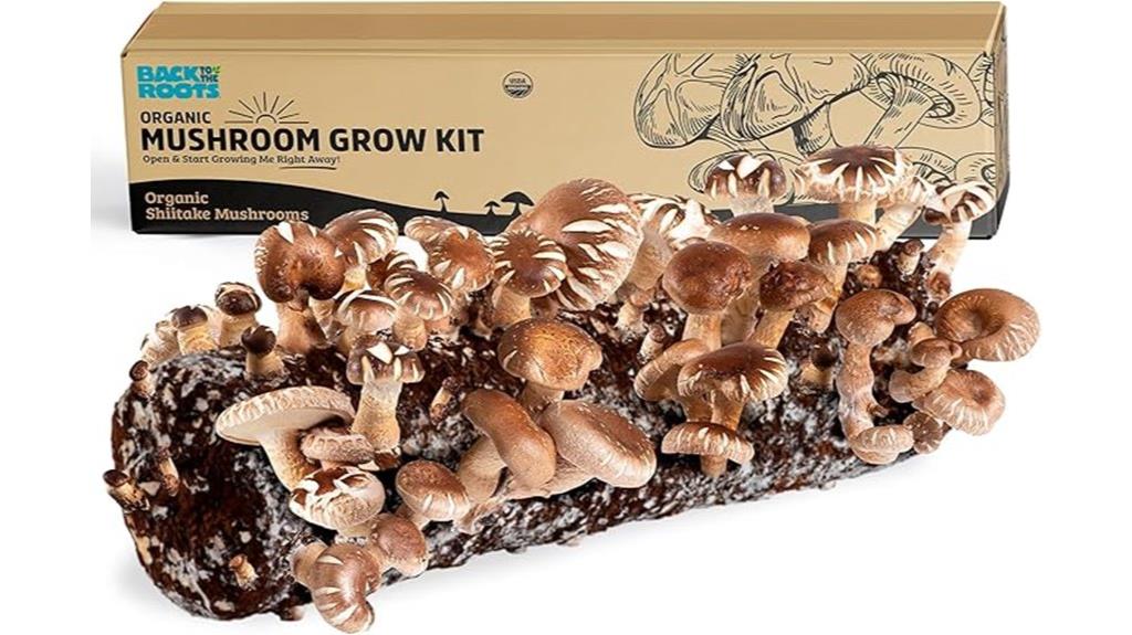 organic mushroom growing kit