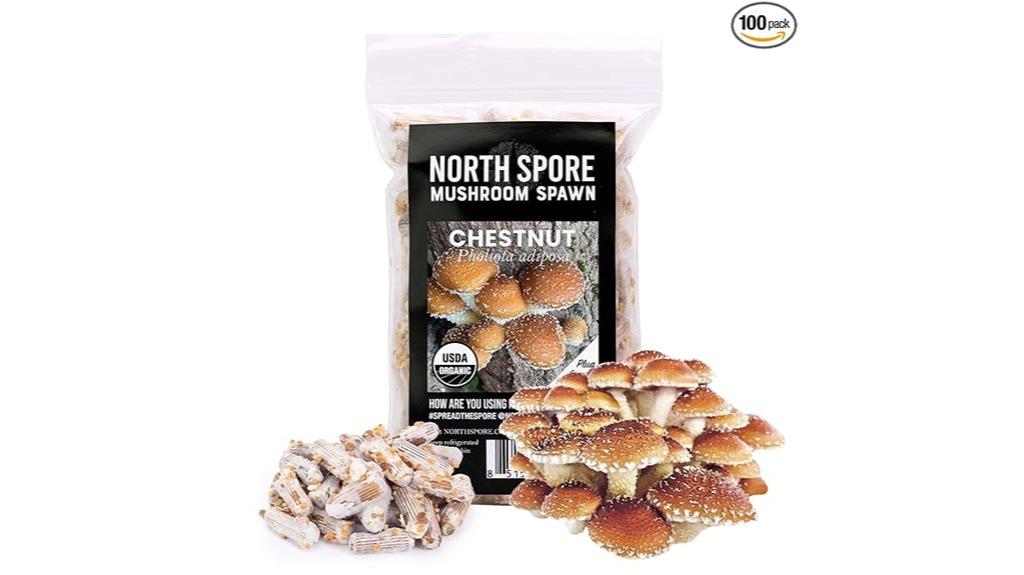 organic mushroom plugs pack