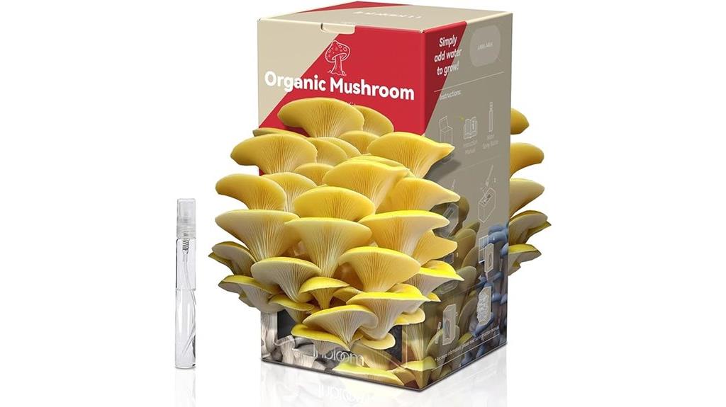 organic oyster mushroom kit