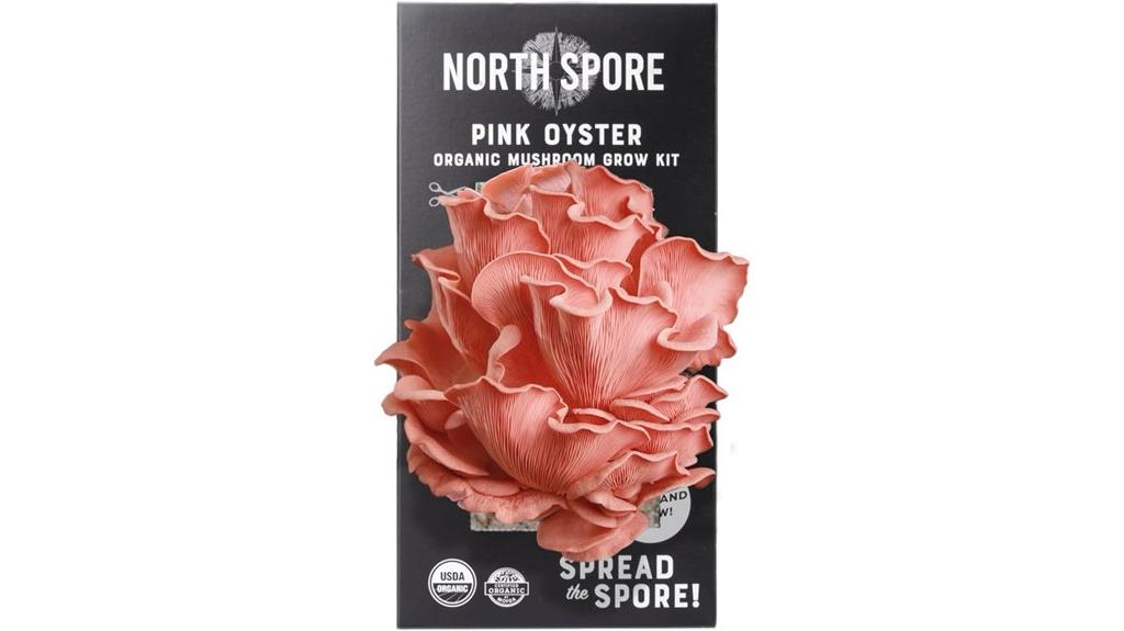 organic pink oyster mushrooms