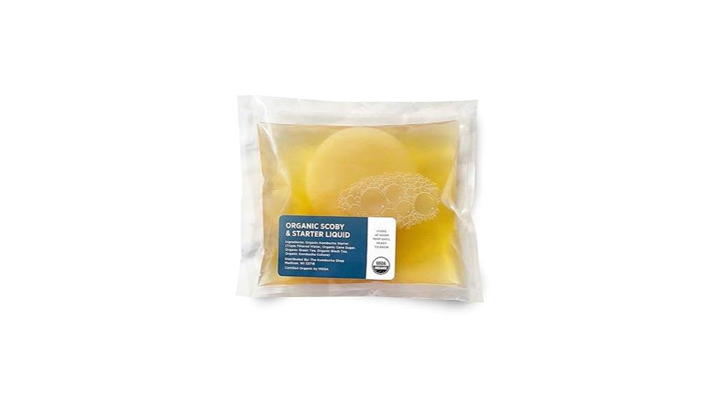 organic scoby kombucha starter kit