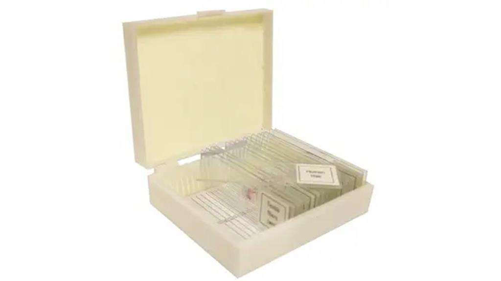 pollen and spores slide set