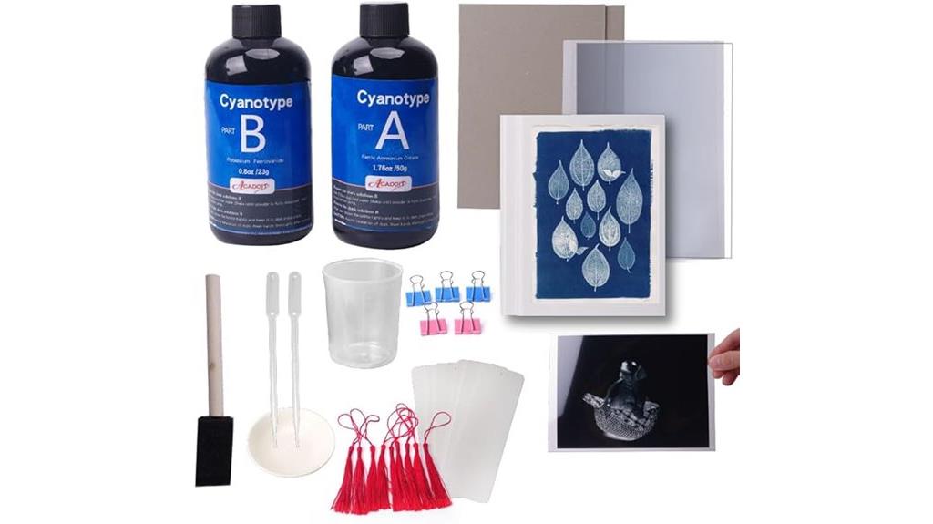 sun printing cyanotype kit