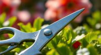 top micro pruning shears