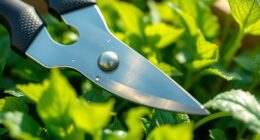 top stainless steel garden shears