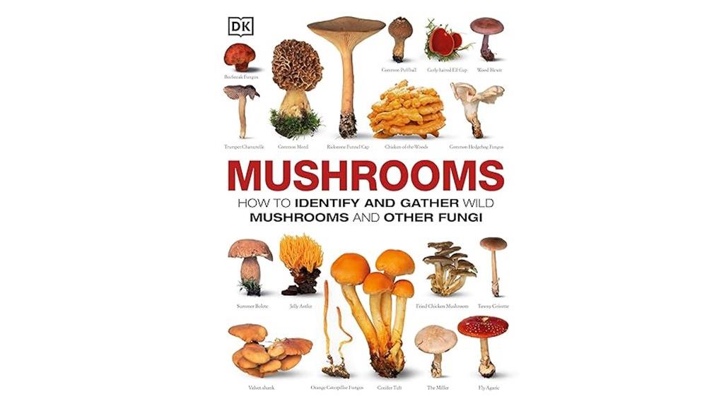 wild mushroom foraging guide