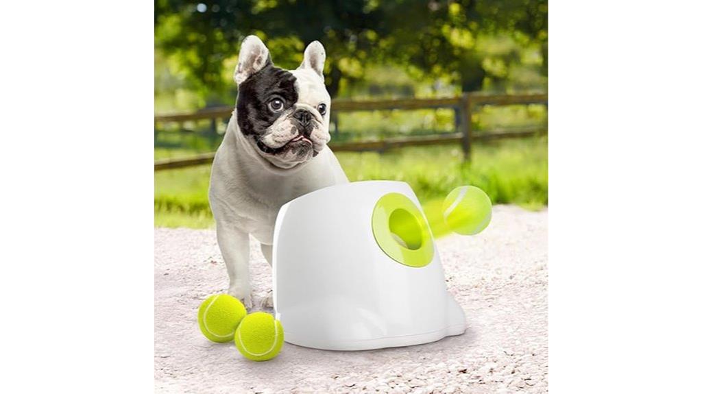 automatic dog ball launcher