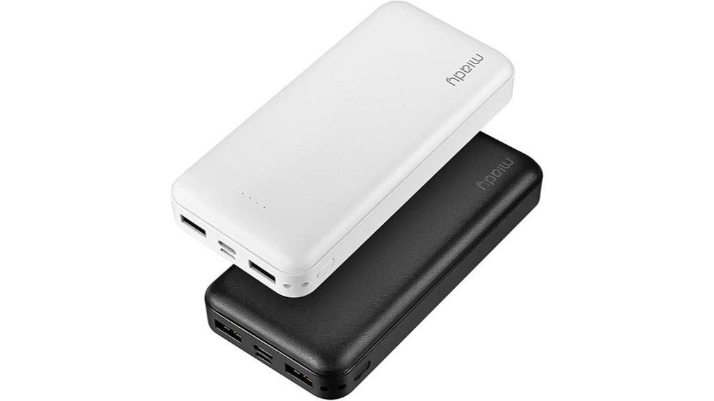 dual 20000mah portable chargers