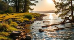 edge and riparian habitat disturbance