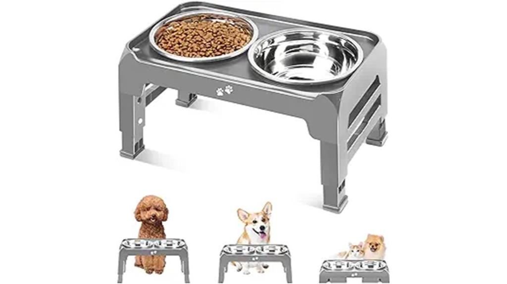 elevated small dog bowls