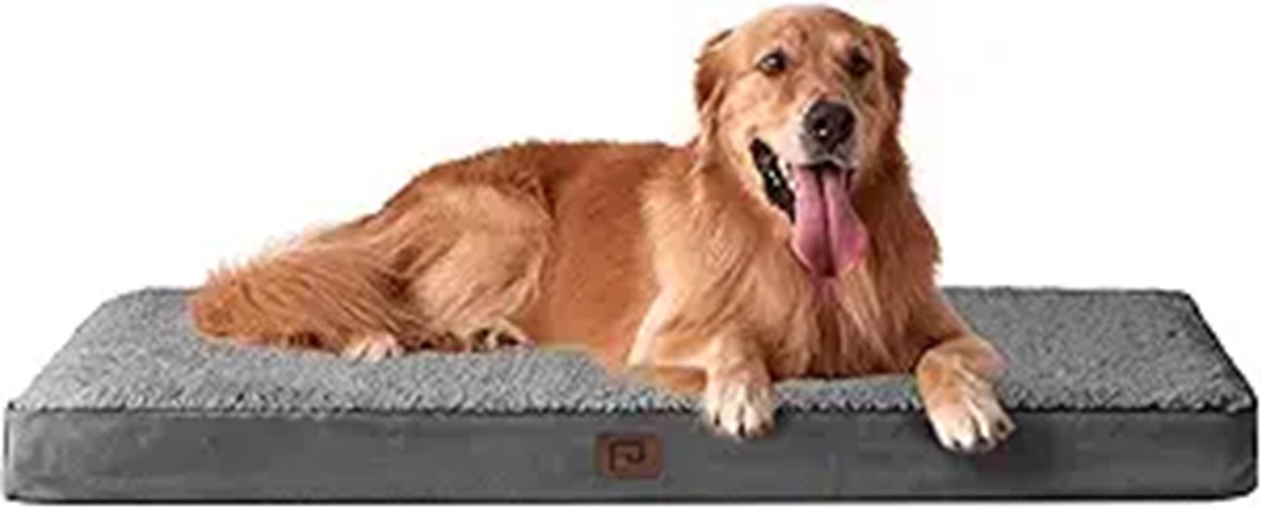extra large orthopedic dog bed