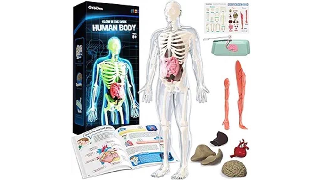glow in the dark skeleton kit