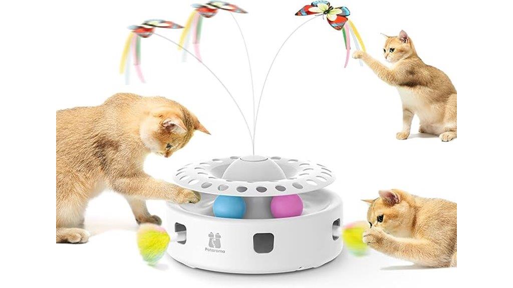 interactive 3 in 1 cat toy