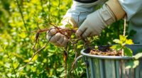 invasive species removal strategies