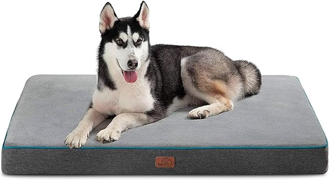 large dog memory foam bed
