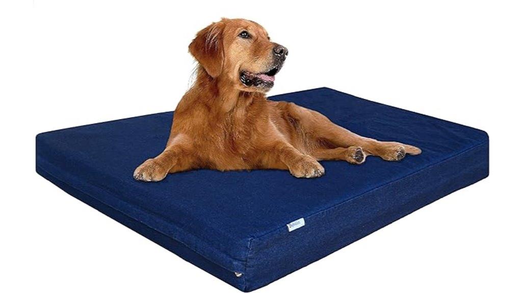 large orthopedic memory foam
