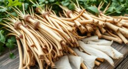 optimal harvest and drying