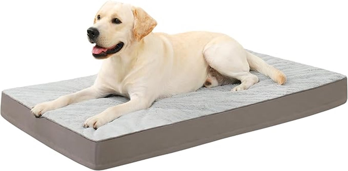 orthopedic dog bed 41x27