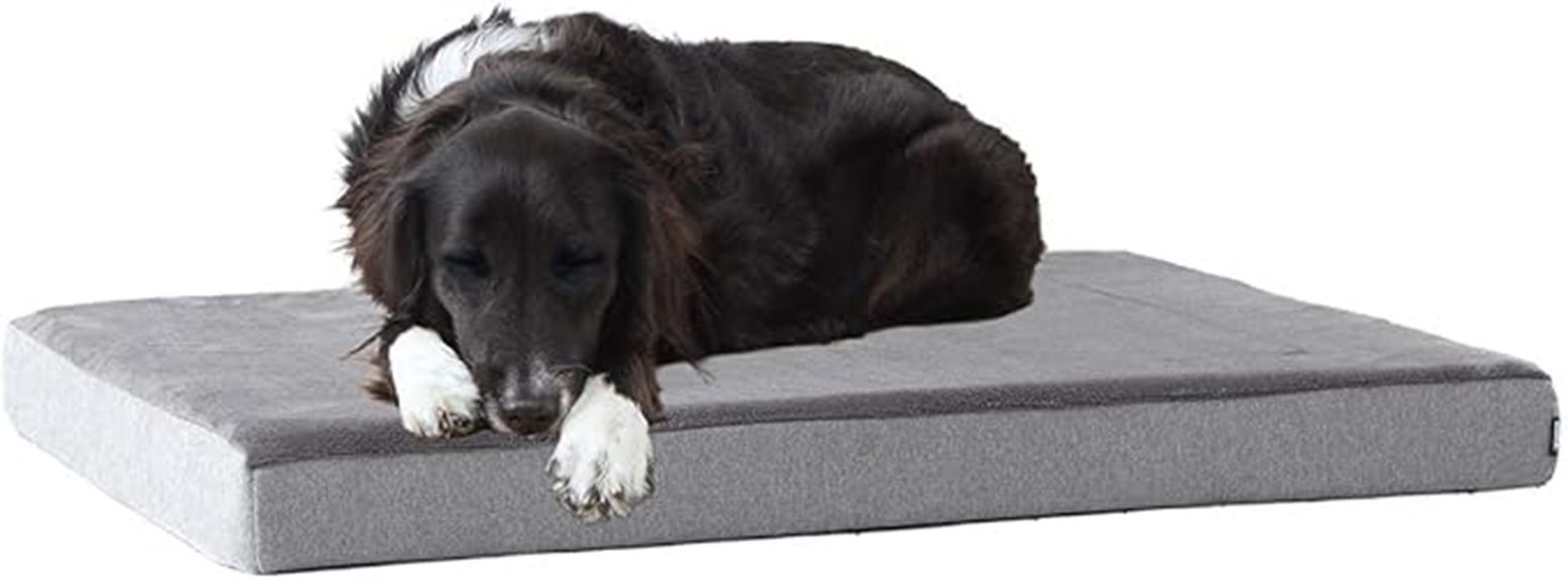 orthopedic memory foam bed
