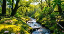 plants provide essential benefits