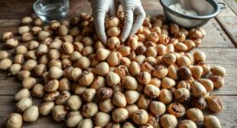 safe beech nut processing