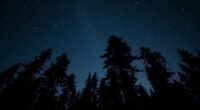 star guided forest wind navigation
