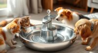top automatic pet water fountains